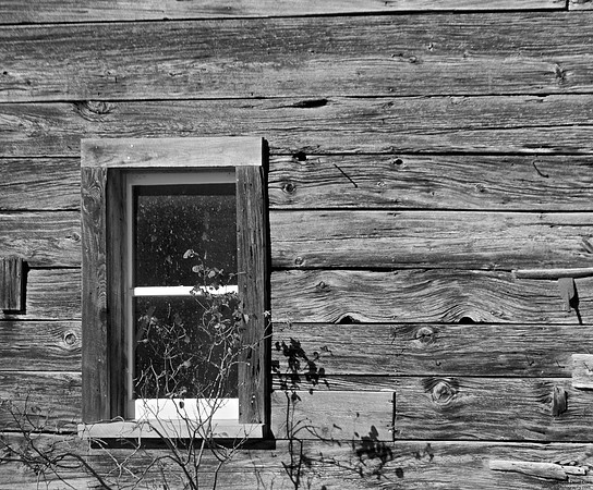 Window in Black and White