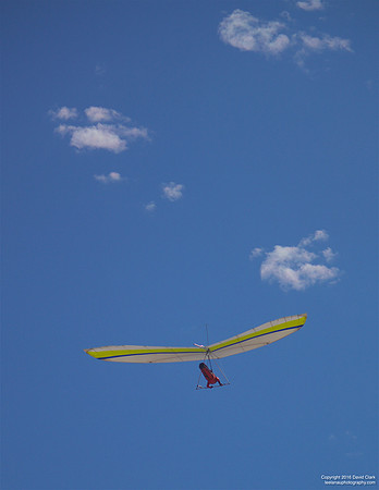 Wind Bug