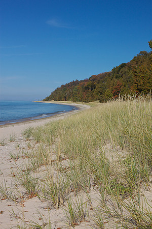 Bay Shore