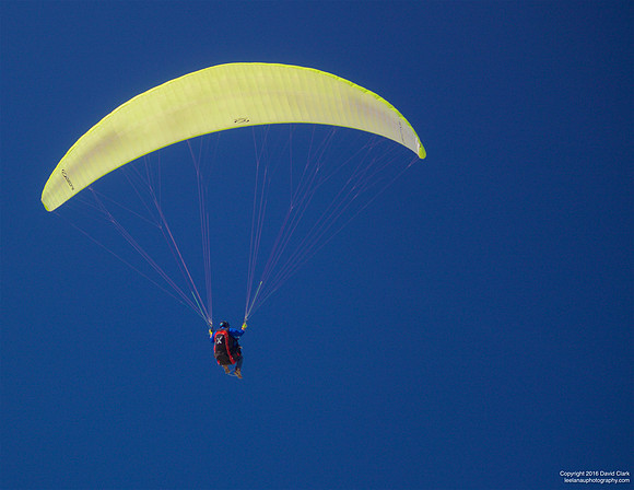 Kite Color