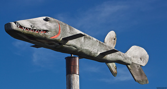Wooden Fish