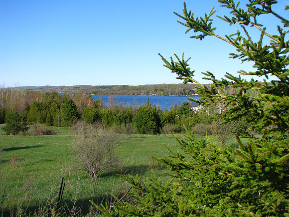 Looking North